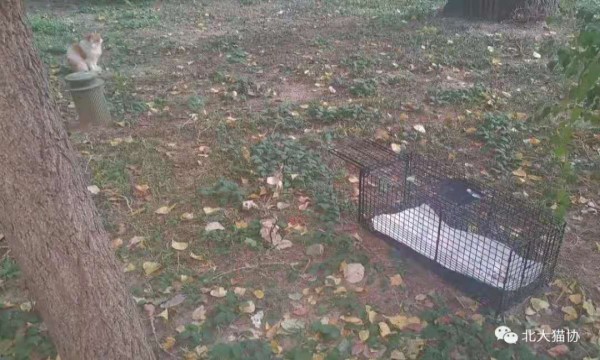 群护部