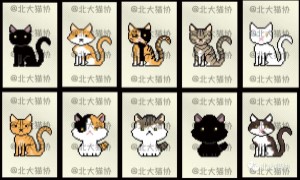生生不息